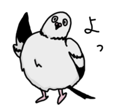 pigeon sticker2 sticker #11735865