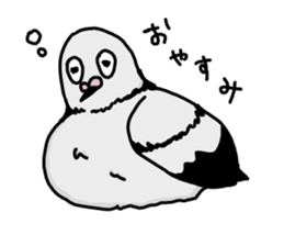 pigeon sticker2 sticker #11735866