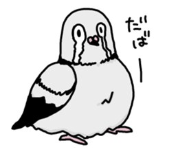 pigeon sticker2 sticker #11735868