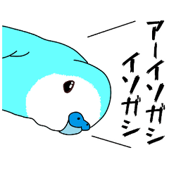 A parakeet learned strange words