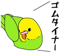A parakeet learned strange words sticker #11738396