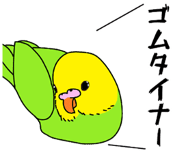 A parakeet learned strange words sticker #11738396