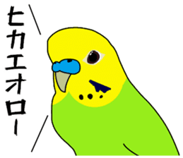 A parakeet learned strange words sticker #11738397