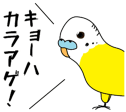 A parakeet learned strange words sticker #11738401