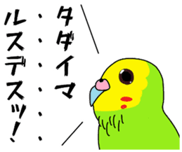 A parakeet learned strange words sticker #11738403