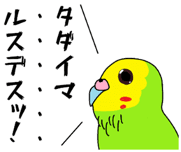 A parakeet learned strange words sticker #11738403