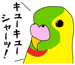 A parakeet learned strange words sticker #11738405