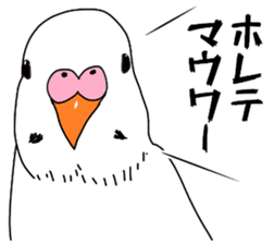 A parakeet learned strange words sticker #11738407