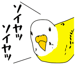 A parakeet learned strange words sticker #11738429