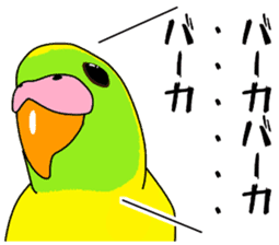 A parakeet learned strange words sticker #11738430