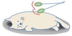 Meow meow cats 1 sticker #11740941