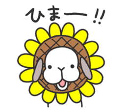 Lop Bunny, SHARIKICHI ~SUMMER!~ sticker #11741164