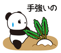 Panda named Ueno.6 sticker #11741846