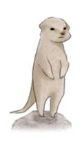 ABO!! sticker #11743495