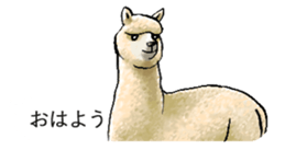 The animals jumps out of a balloon sticker #11744692