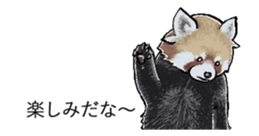 The animals jumps out of a balloon sticker #11744698