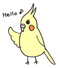 my cockatiel sticker #11744760