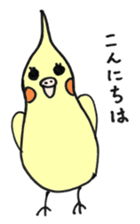 my cockatiel sticker #11744762