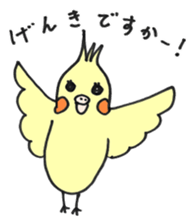 my cockatiel sticker #11744763