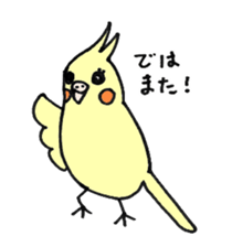 my cockatiel sticker #11744764
