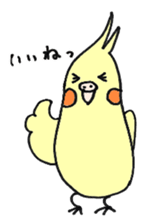 my cockatiel sticker #11744768
