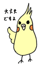 my cockatiel sticker #11744770