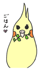 my cockatiel sticker #11744772