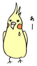 my cockatiel sticker #11744774