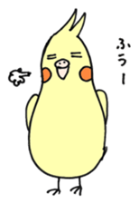 my cockatiel sticker #11744775