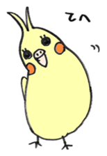 my cockatiel sticker #11744778