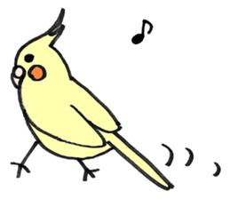 my cockatiel sticker #11744780
