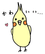 my cockatiel sticker #11744781