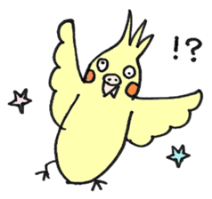 my cockatiel sticker #11744783