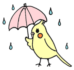 my cockatiel sticker #11744787