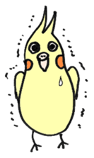 my cockatiel sticker #11744788