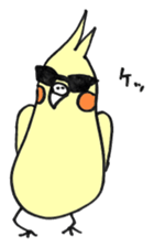 my cockatiel sticker #11744791