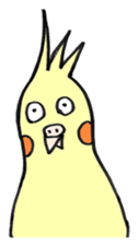 my cockatiel sticker #11744792