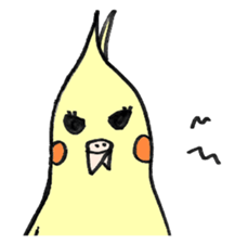 my cockatiel sticker #11744793