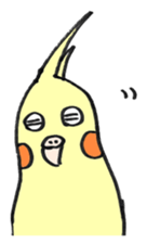 my cockatiel sticker #11744794
