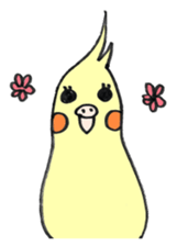 my cockatiel sticker #11744795