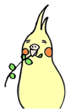 my cockatiel sticker #11744796