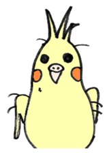 my cockatiel sticker #11744799