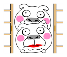 The Crazy Rabbit sticker #11745009