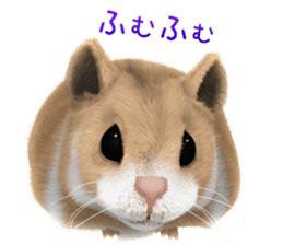 Sell Cute Hamster sticker #11747006