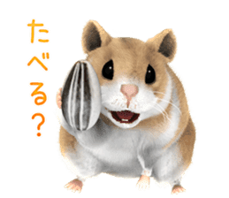 Sell Cute Hamster sticker #11747007