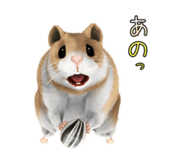Sell Cute Hamster sticker #11747010