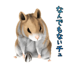 Sell Cute Hamster sticker #11747011