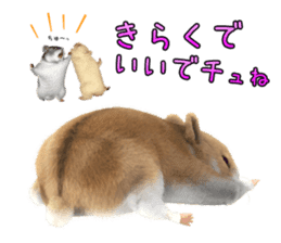 Sell Cute Hamster sticker #11747014