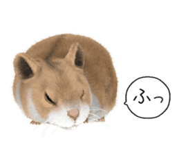 Sell Cute Hamster sticker #11747019