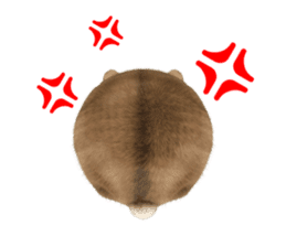 Sell Cute Hamster sticker #11747020